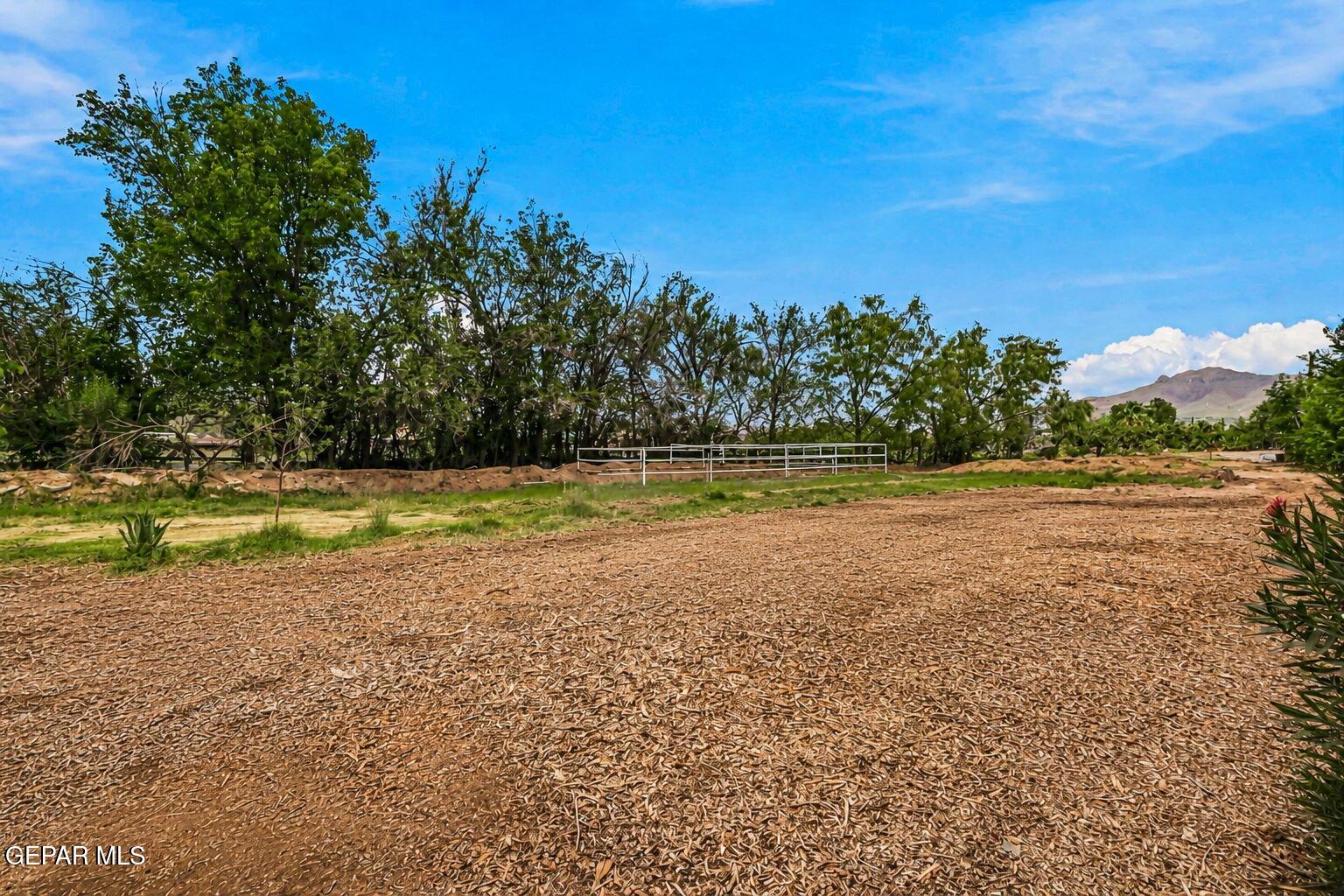 4015 Emory Road El Paso, TX 79922 - Photo 28 of 55 32-web-or-mls-nfdafdsdf