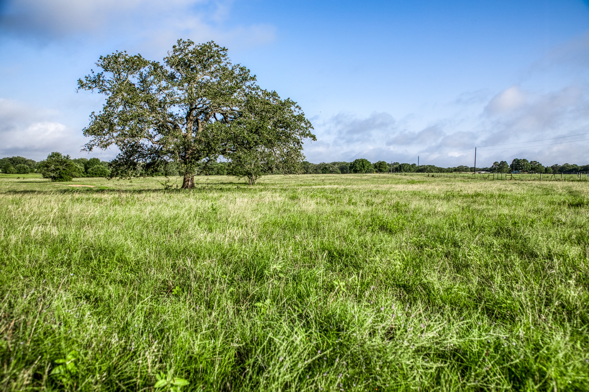 2 South Nassau Road Round Top, TX 78954 - Photo 4 of 11 a view of an outdoor space and a yard