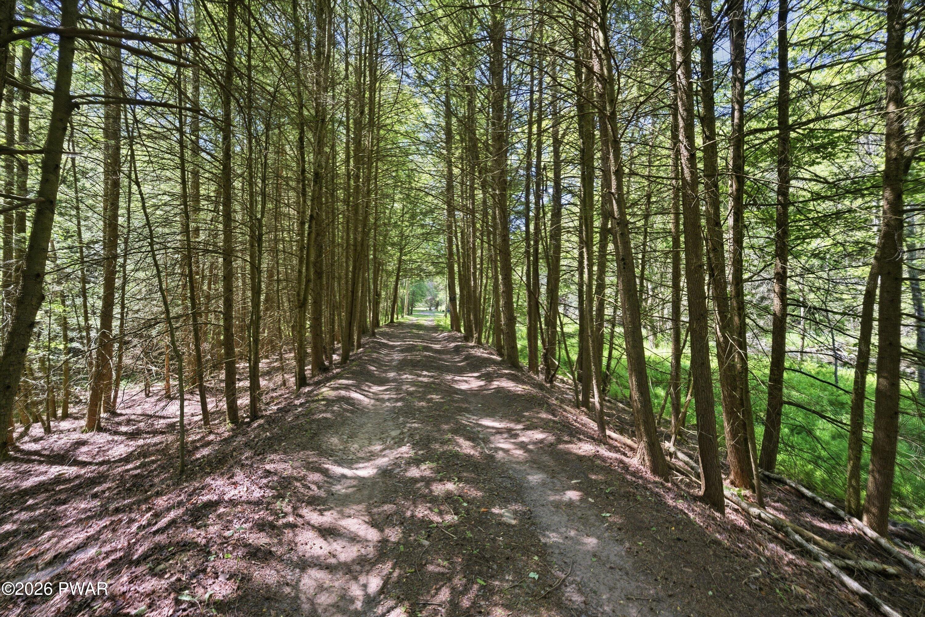 Sawmill Road Greentown, PA 18426 - Photo 4 of 30