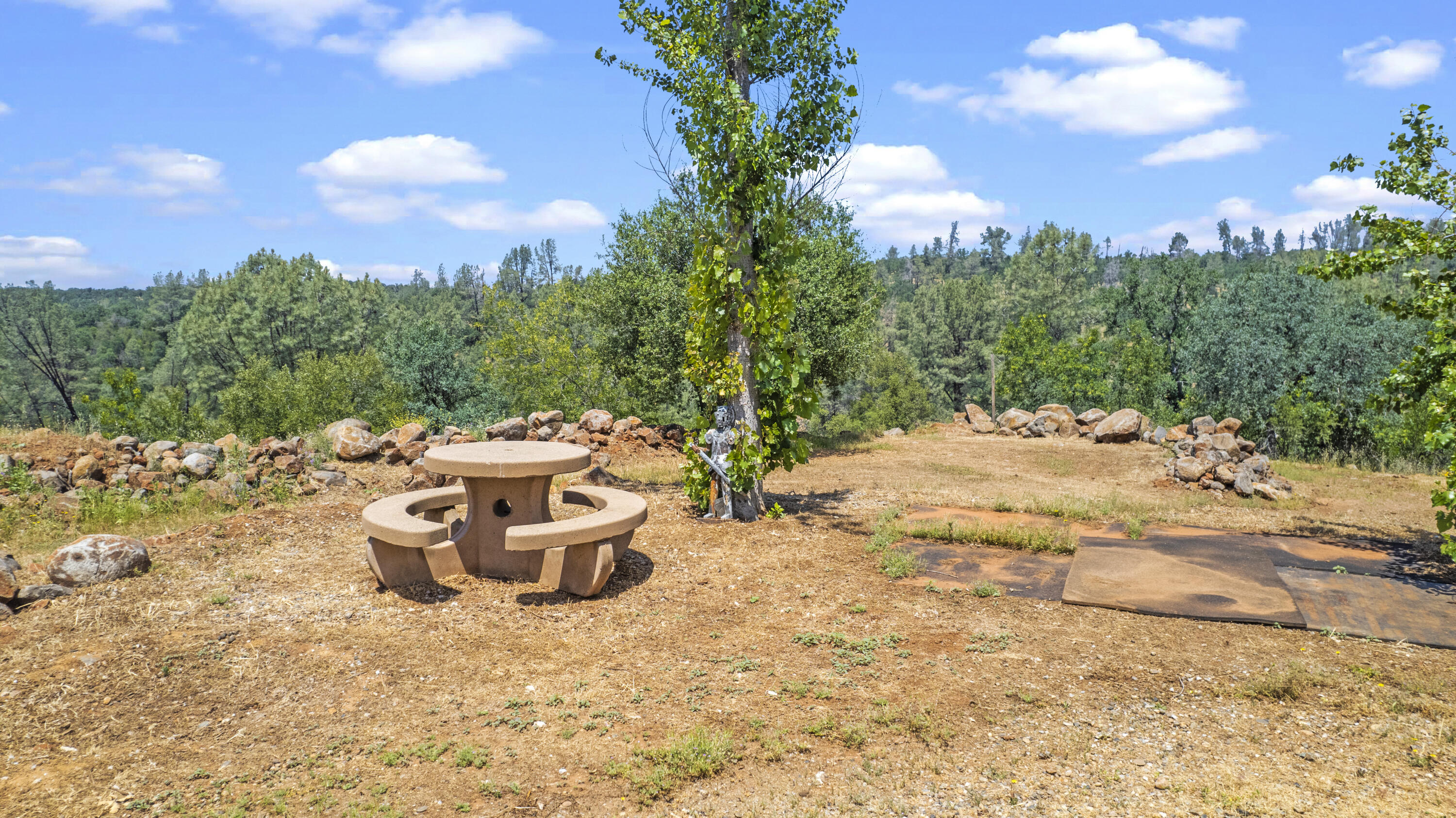 24724 Dersch Road Shingletown, CA 96088 - Photo 19 of 32 DJI_0231