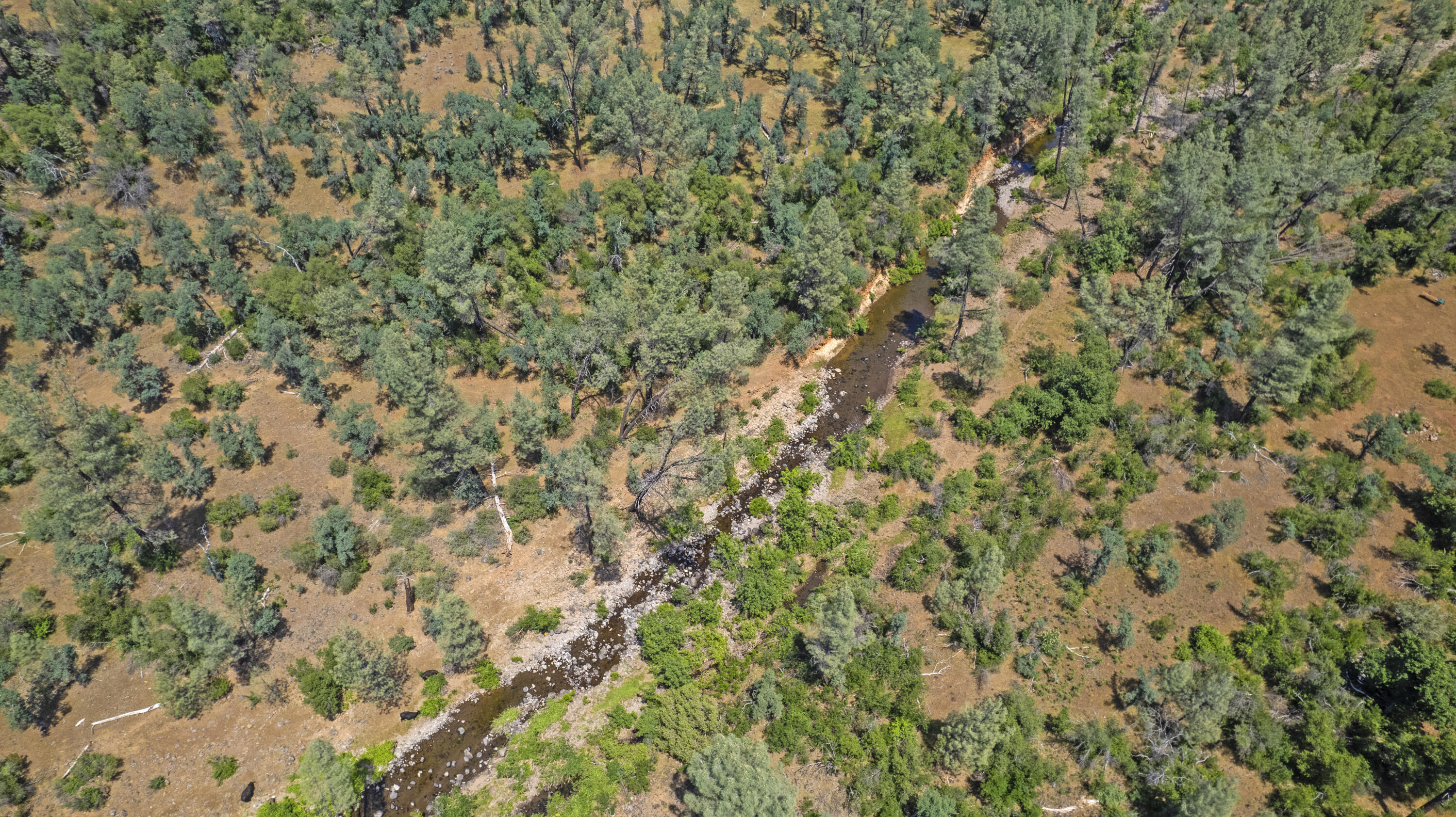 24724 Dersch Road Shingletown, CA 96088 - Photo 22 of 32 DJI_0284