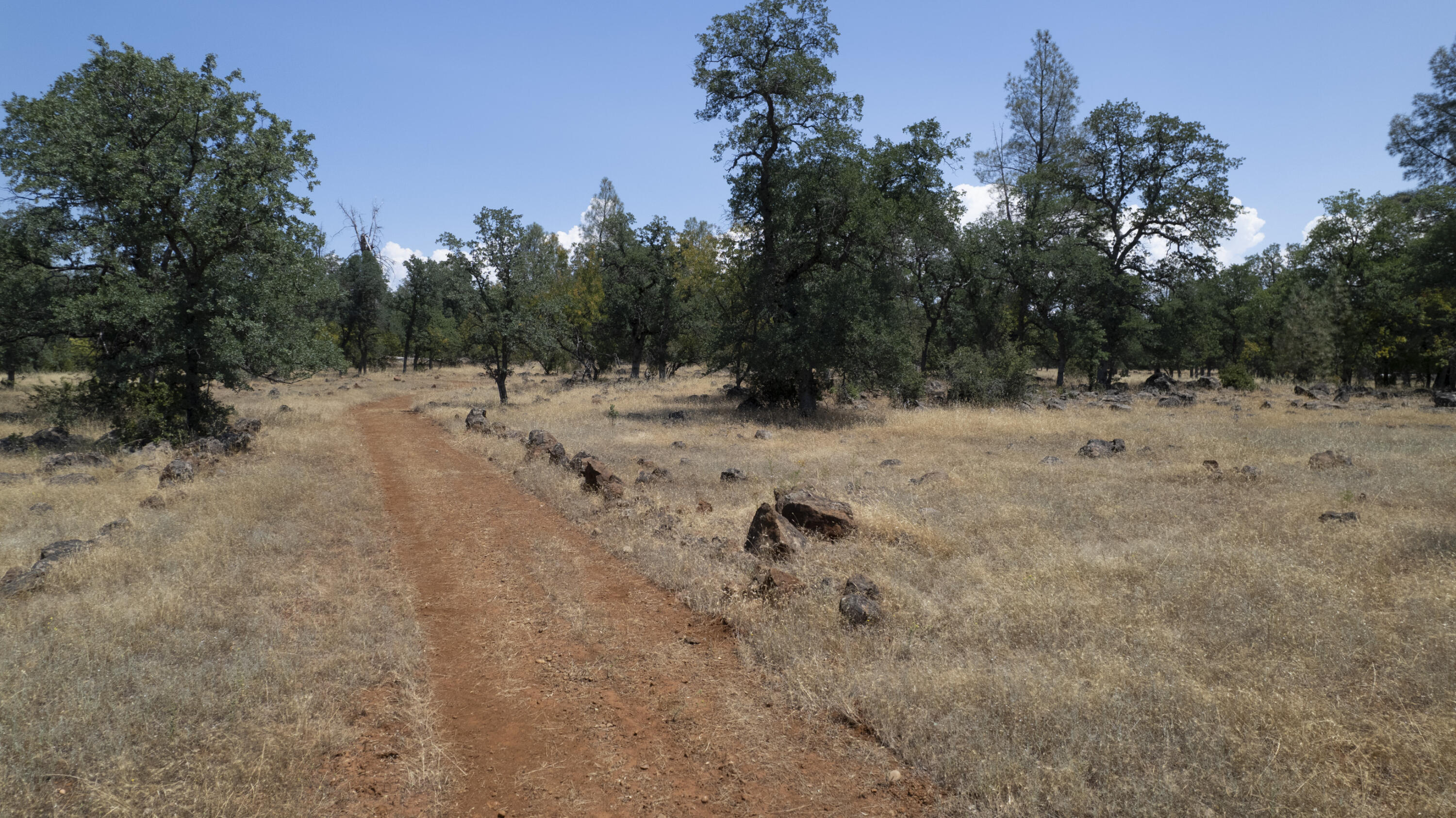 24724 Dersch Road Shingletown, CA 96088 - Photo 26 of 32 DJI_0657-HDR-2
