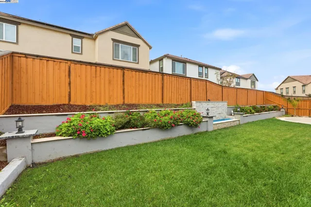 a view of a big yard with potted plants