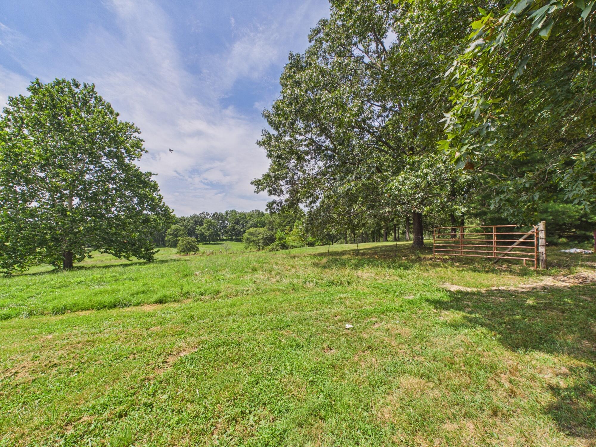 12283 Stave Mill Road Cabool, MO 65689 - Photo 123 of 150 CAM03368G0-PR0056-STILL127