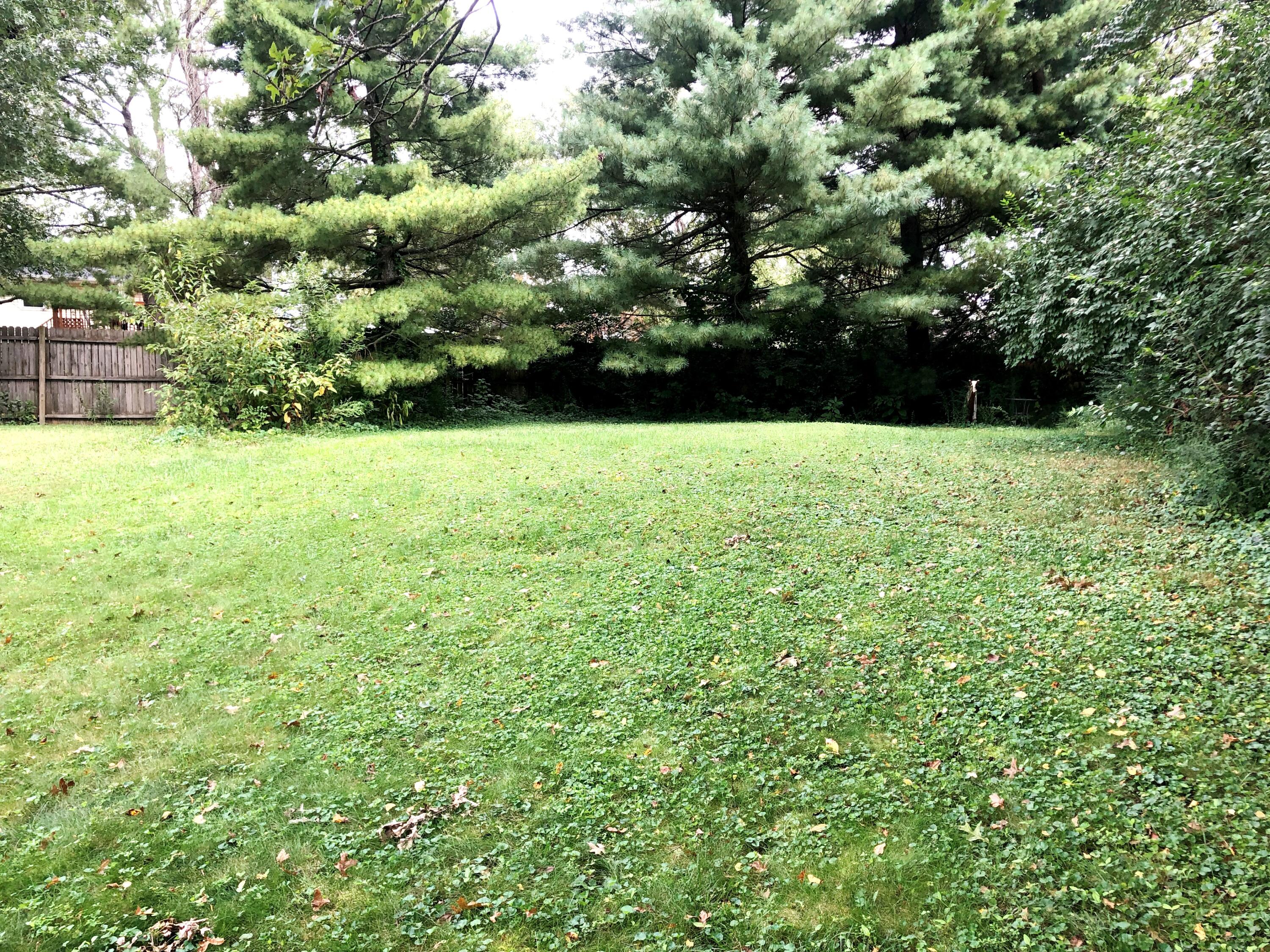 3175 Greenbo Road Lexington, KY 40515 - Photo 21 of 23 069