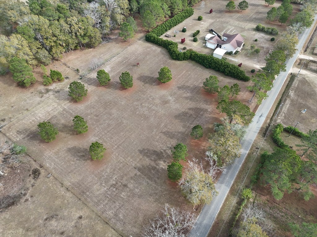 2-acr Lewis Road Cairo, GA 39828 - Photo 17 of 24 Gallery Image 17