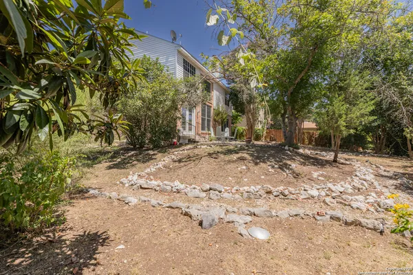 a tree in the middle of a yard