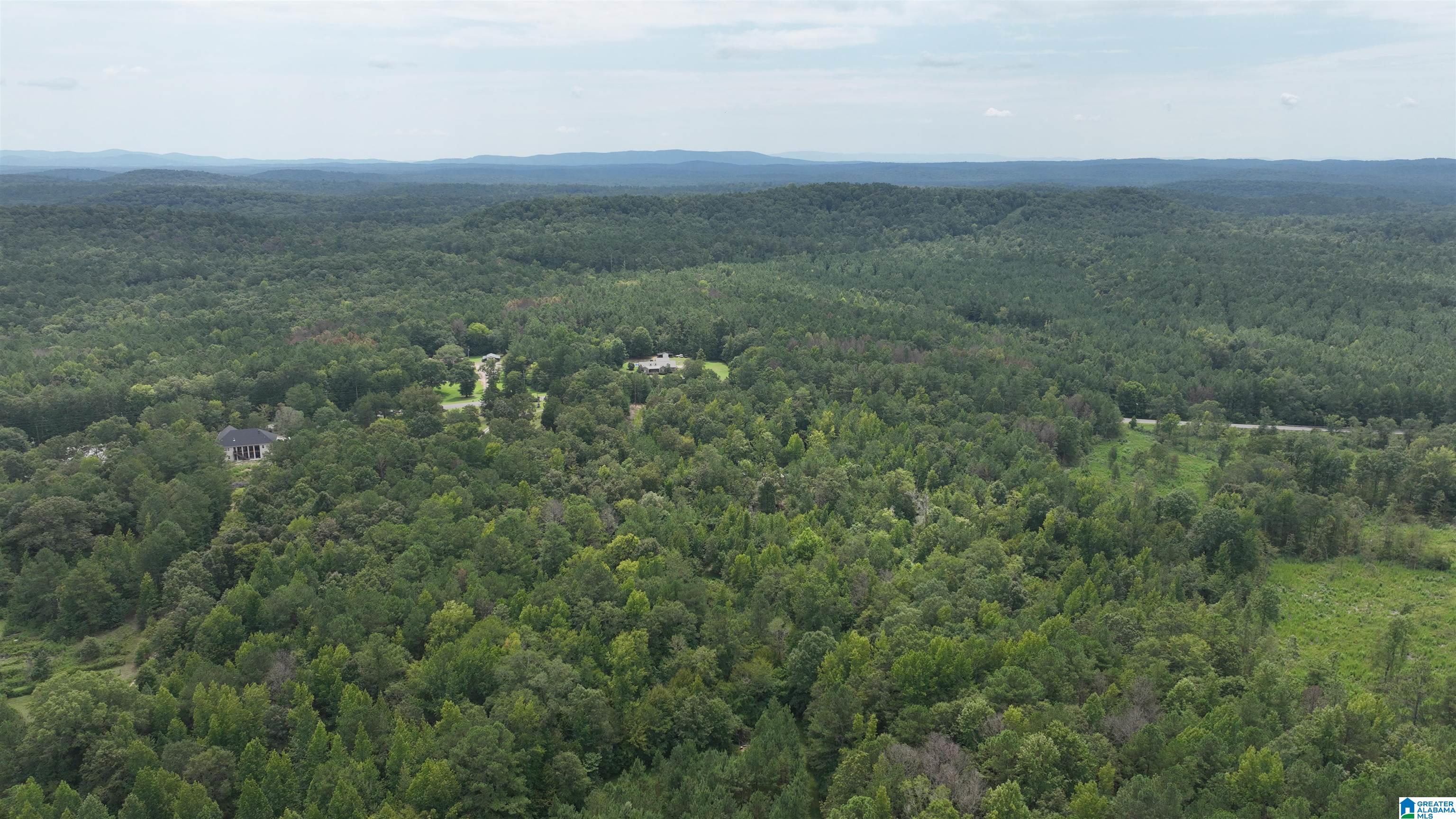 0 Boiling Springs Road Ohatchee, AL 36271 - Photo 3 of 8
