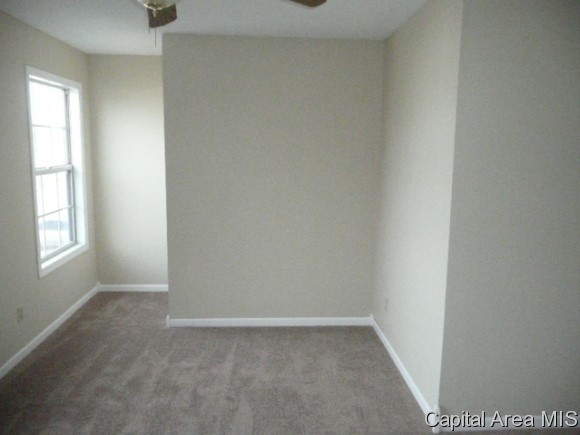 3900 Marie Drive Springfield, IL 62707 - Photo 8 of 11