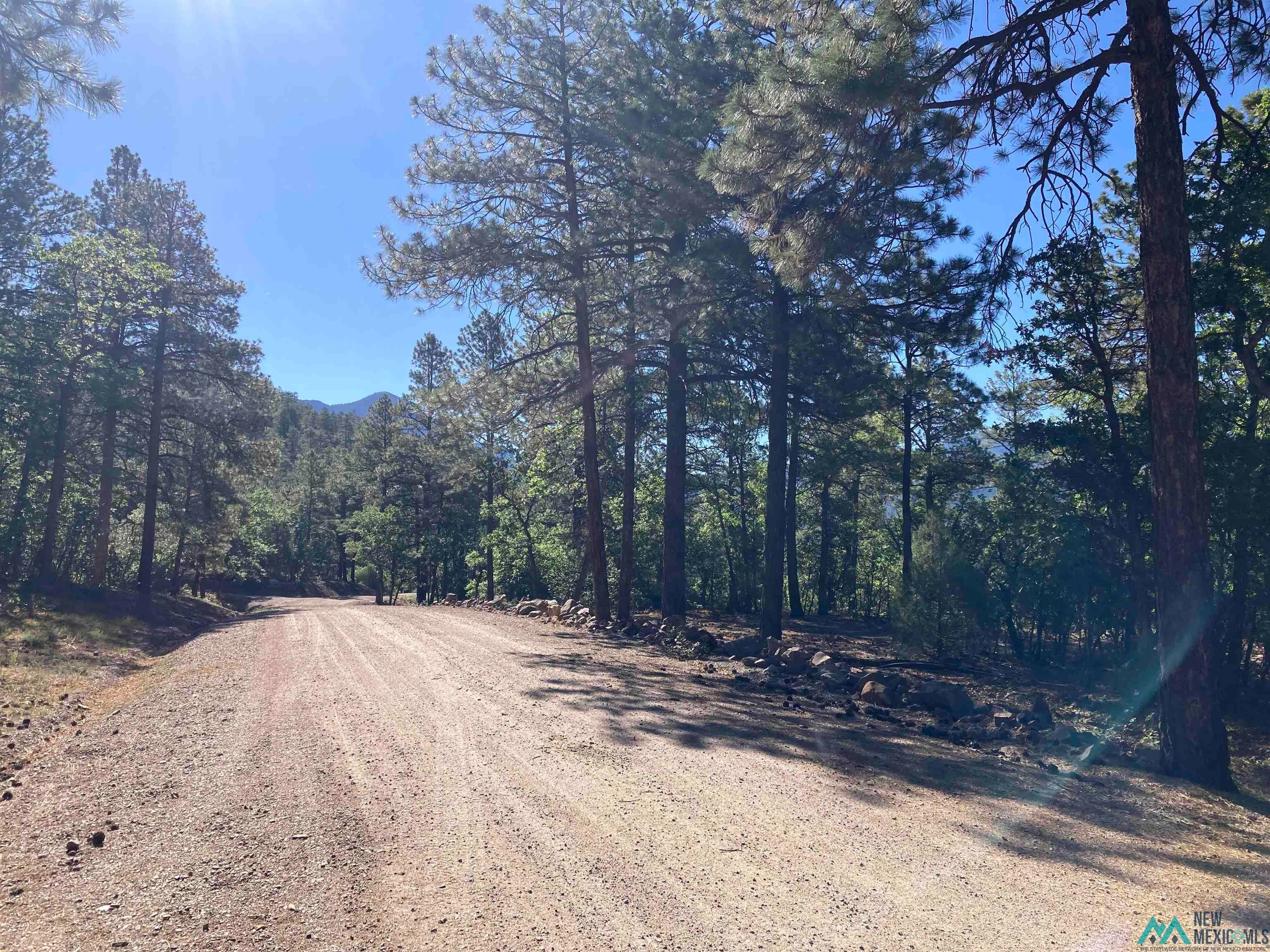 69 The Road Chama, NM 87520 - Photo 3 of 25 Gallery Image 3