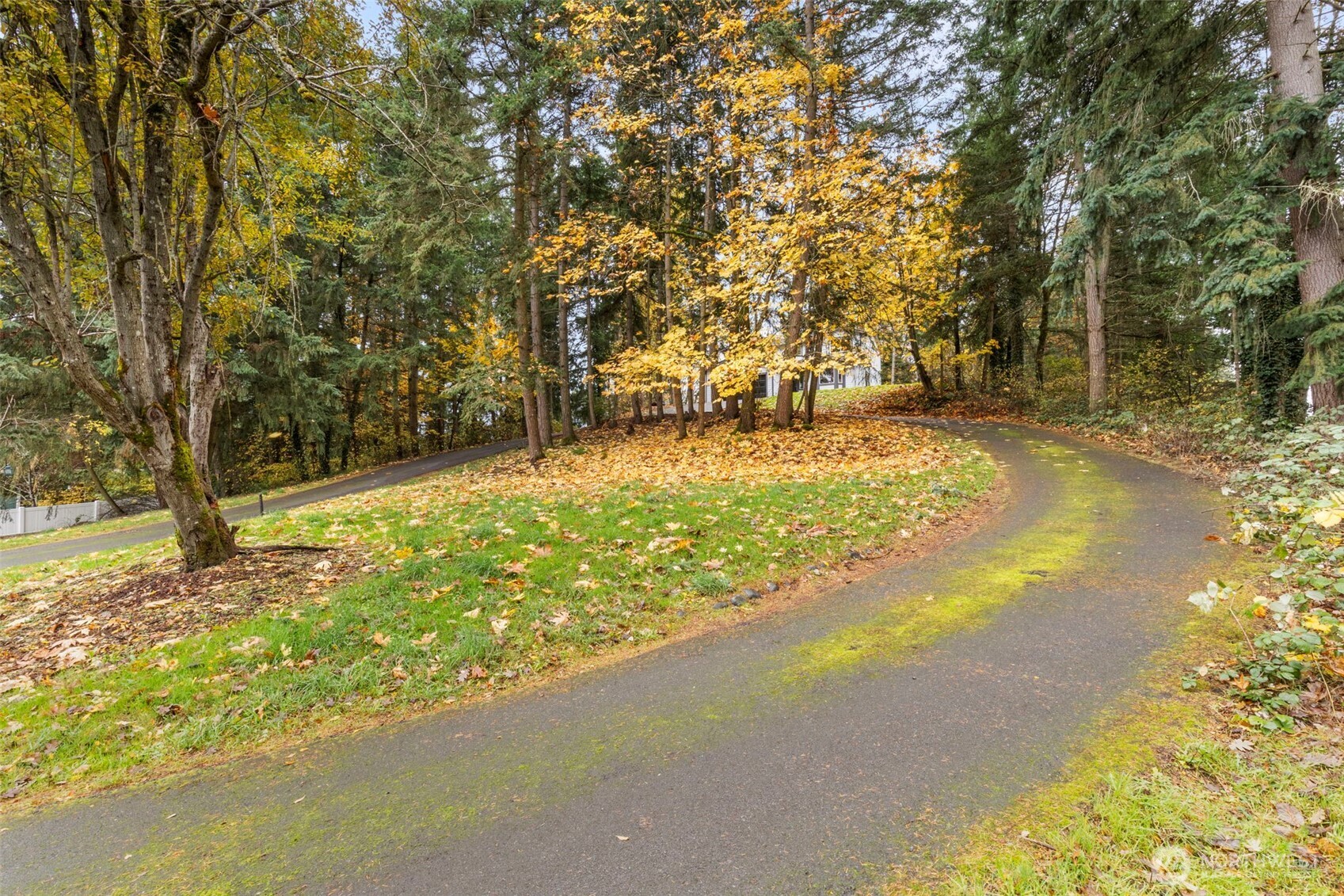 7506 353rd Street South Roy, WA 98580 - Photo 3 of 38 a view of a yard with large trees