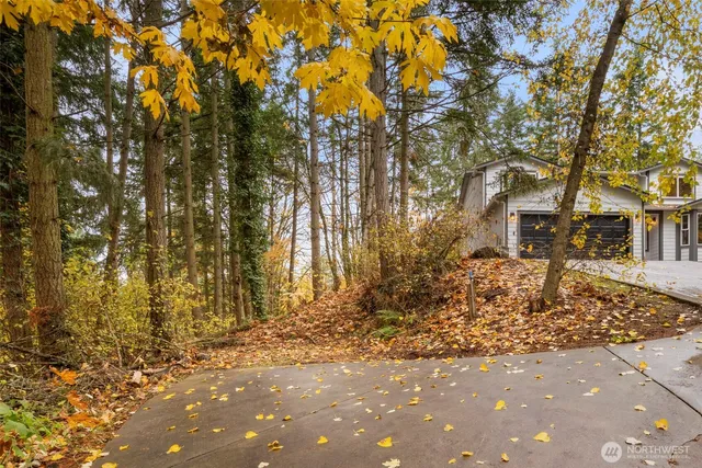 a view of backyard of house with green space
