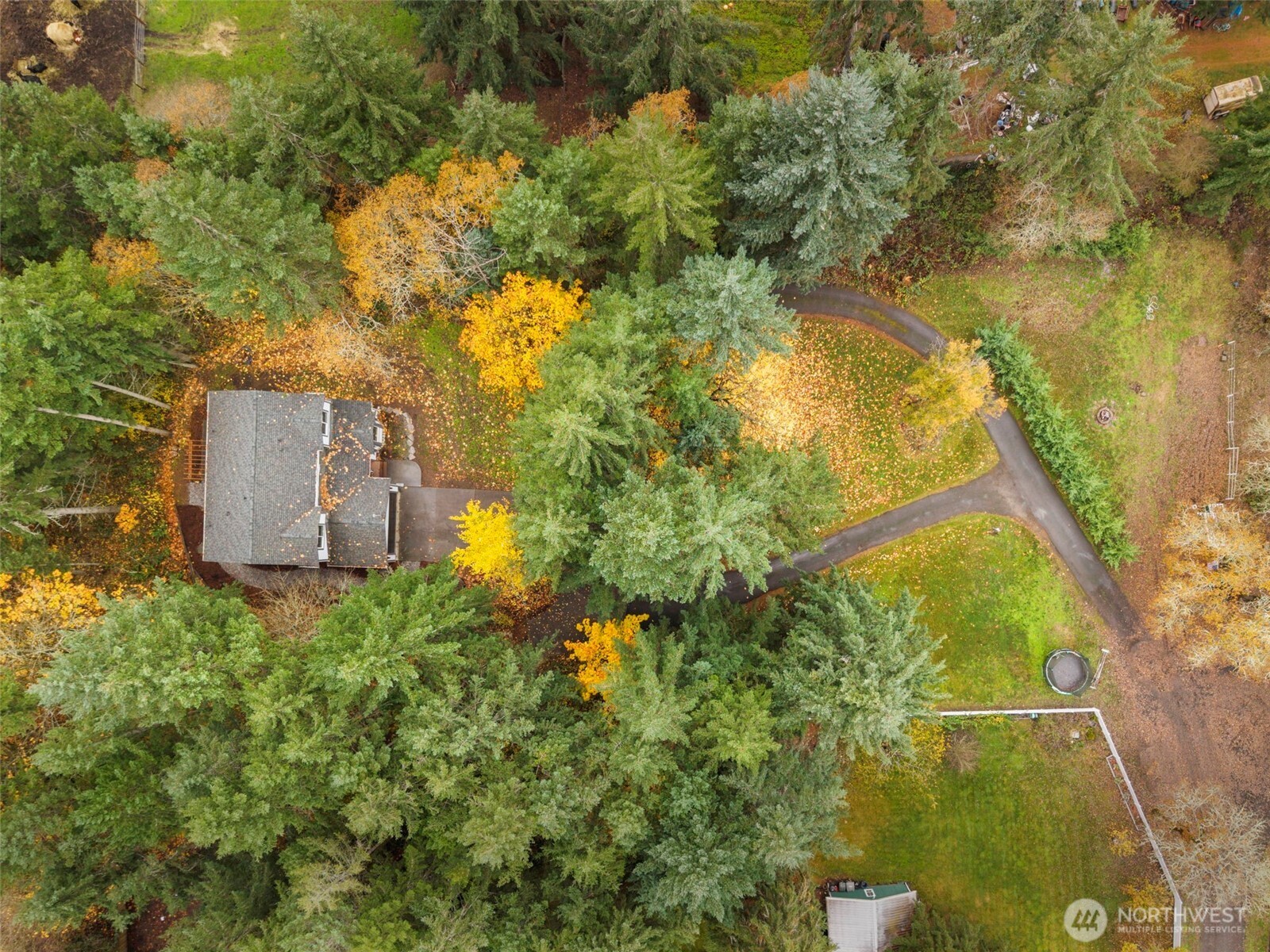 7506 353rd Street South Roy, WA 98580 - Photo 37 of 38 a backyard of a building with large trees