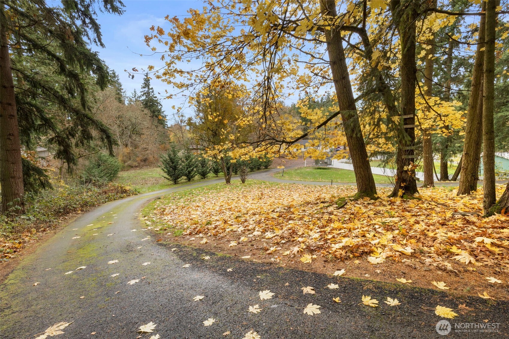 7506 353rd Street South Roy, WA 98580 - Photo 4 of 38 a view of a yard with an trees