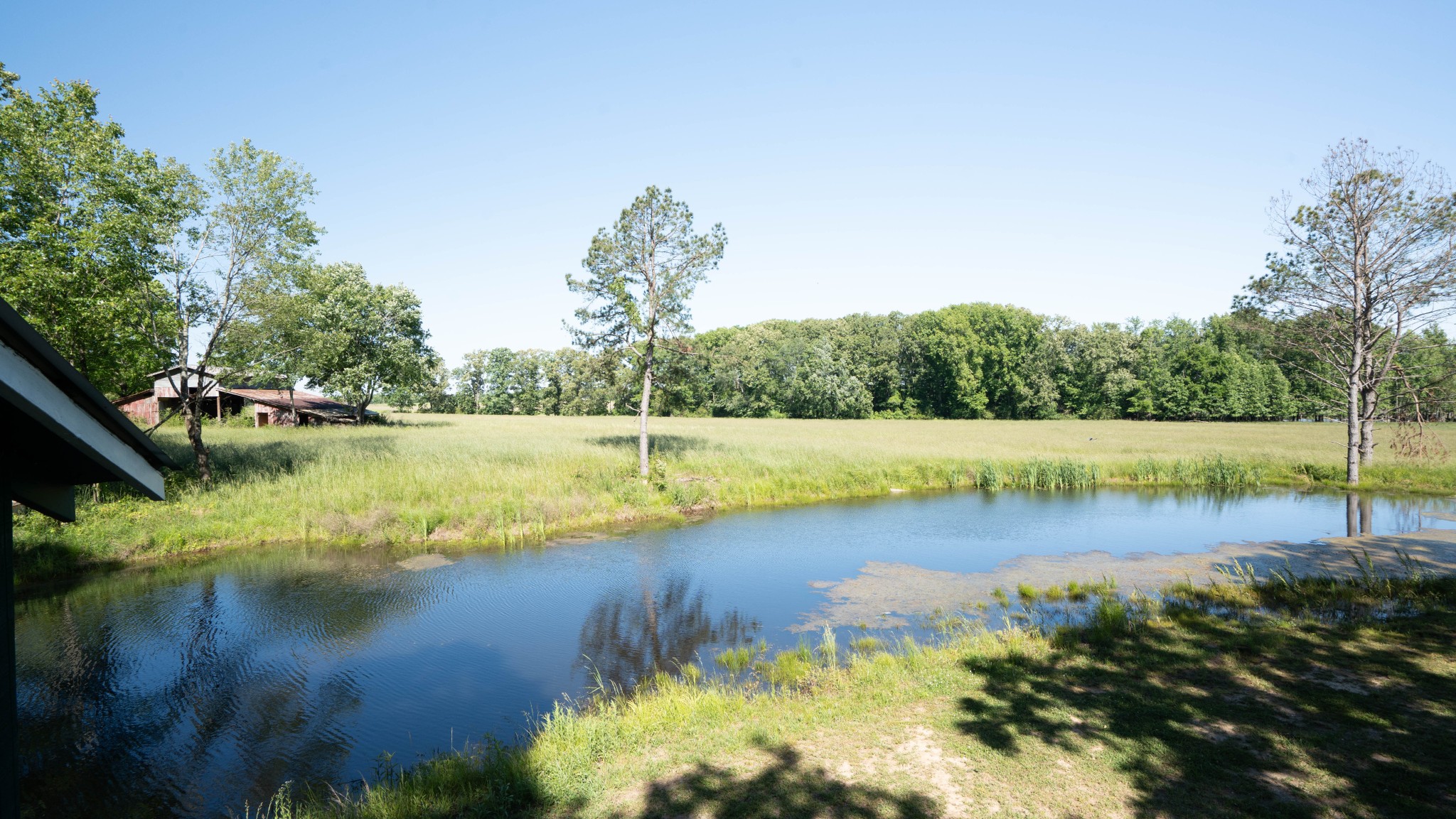 5780 Berry Road Cypress Inn, TN 38452 - Photo 39 of 68
