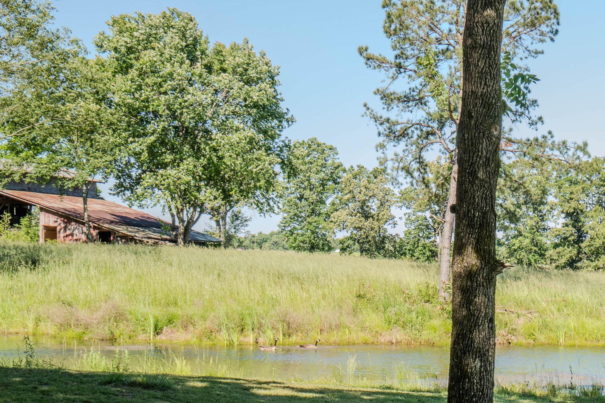 5780 Berry Road Cypress Inn, TN 38452 - Photo 40 of 68