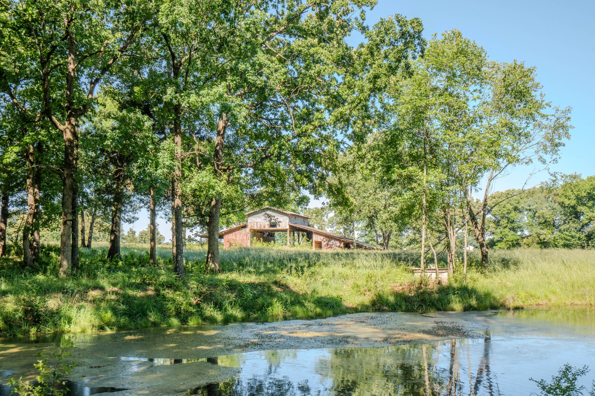 5780 Berry Road Cypress Inn, TN 38452 - Photo 55 of 68