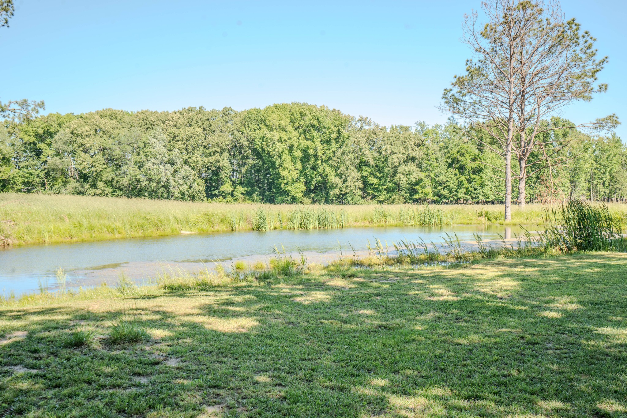 5780 Berry Road Cypress Inn, TN 38452 - Photo 56 of 68