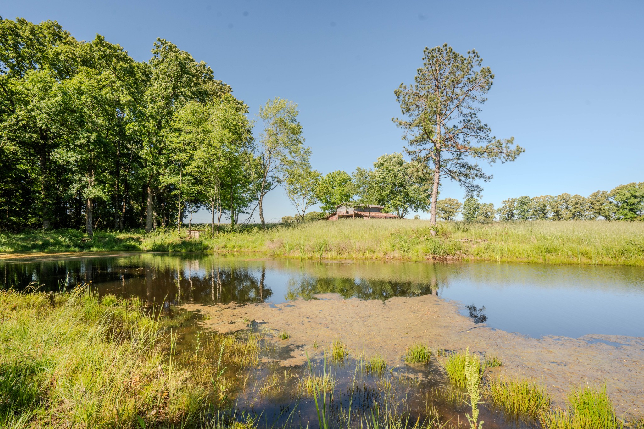 5780 Berry Road Cypress Inn, TN 38452 - Photo 61 of 68