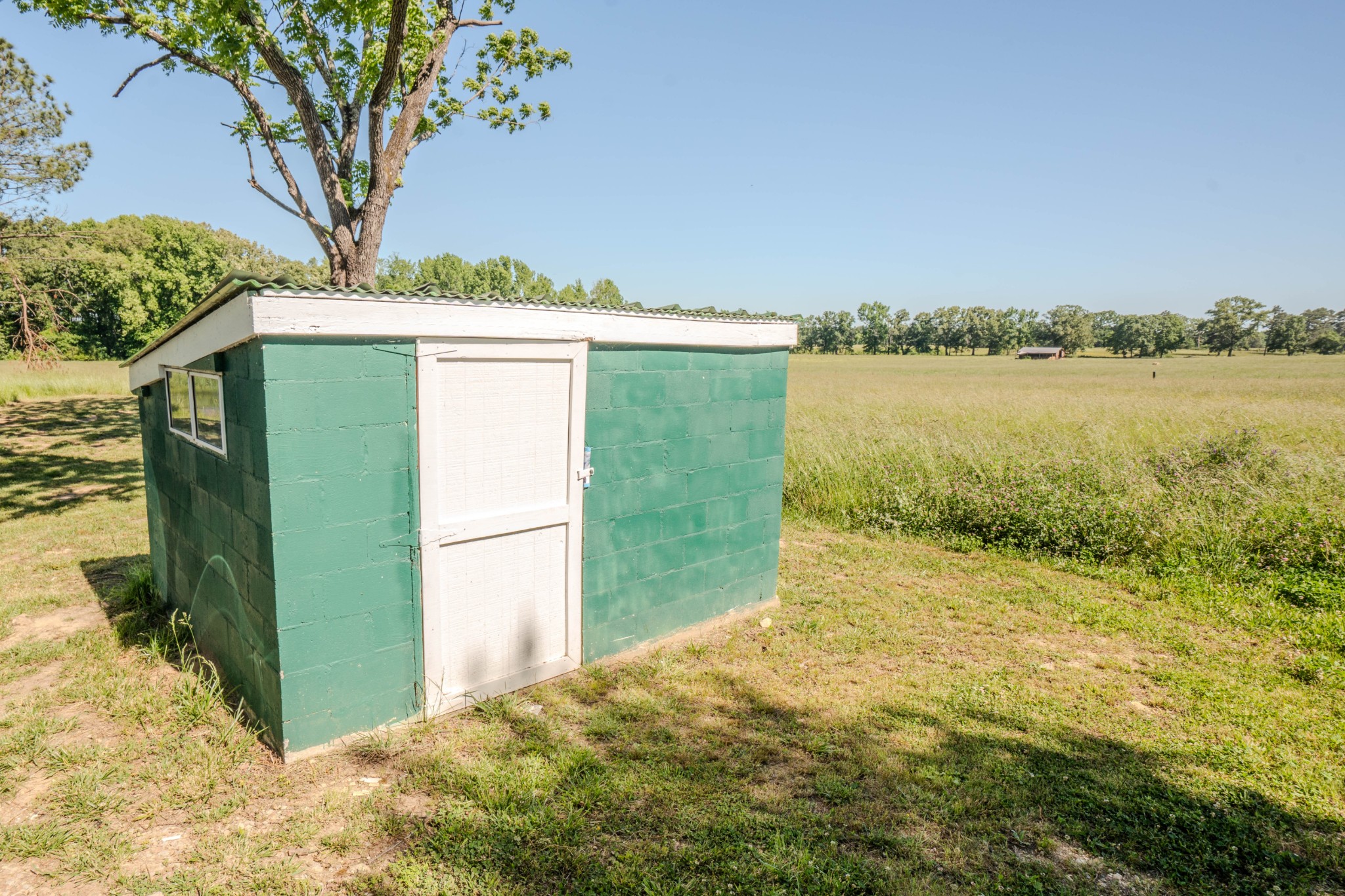 5780 Berry Road Cypress Inn, TN 38452 - Photo 63 of 68