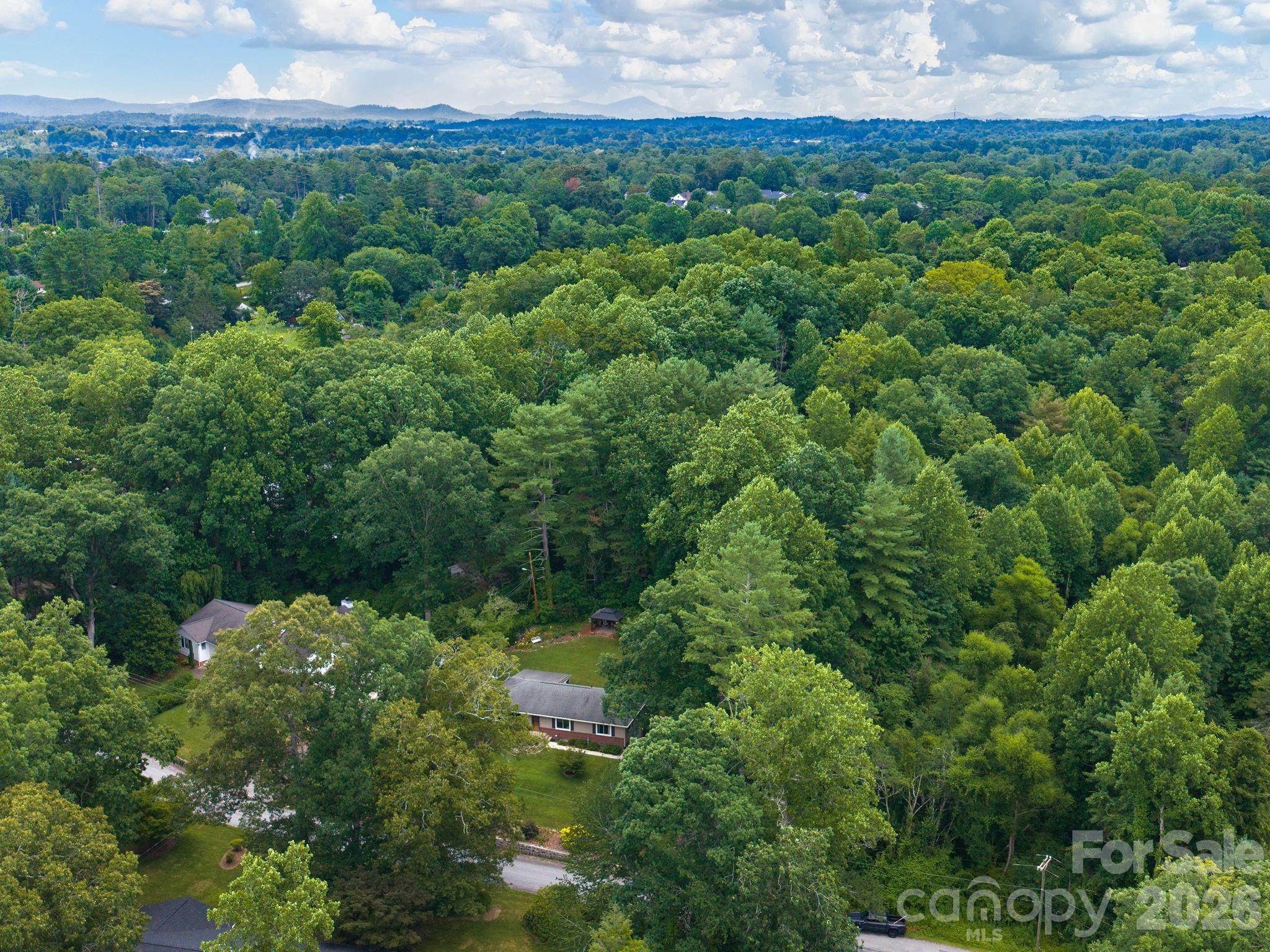 112 Lyndale Road Hendersonville, NC 28739 - Photo 30 of 30
