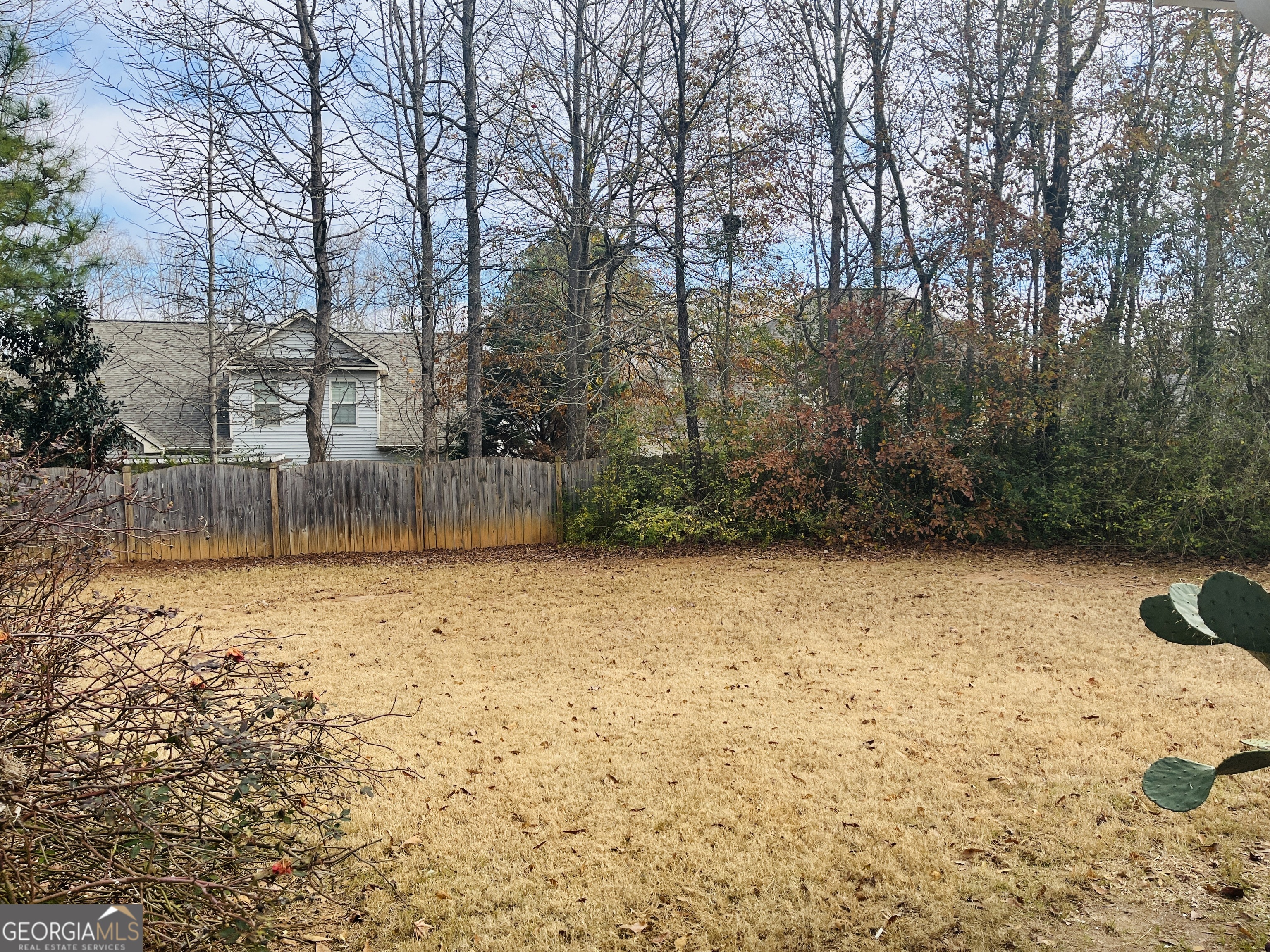 62 Green Spring Newnan, GA 30265 - Photo 29 of 31 a backyard of a house with lots of green space