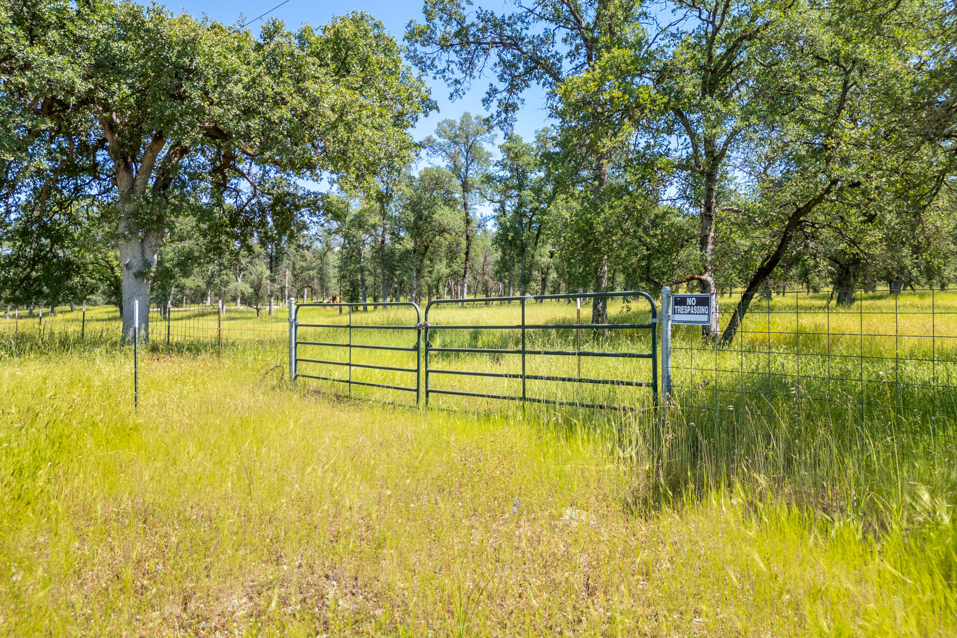 0 Racoon Way Oak Run, CA 96069 - Photo 36 of 39 Racoon032