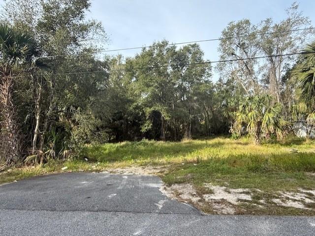 1502 Carver Street DeLand, FL 32720 - Photo 4 of 10 a fire hydrant in the middle of a field