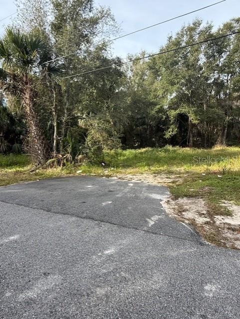 1502 Carver Street DeLand, FL 32720 - Photo 6 of 10 a view of a yard with large trees