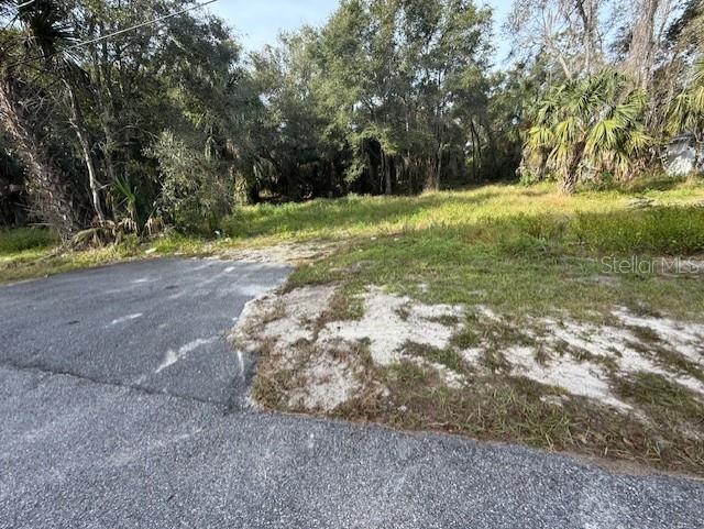 1502 Carver Street DeLand, FL 32720 - Photo 7 of 10 a view of a field with trees in the background