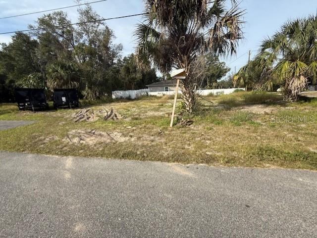 1502 Carver Street DeLand, FL 32720 - Photo 8 of 10 a view of yard with green space