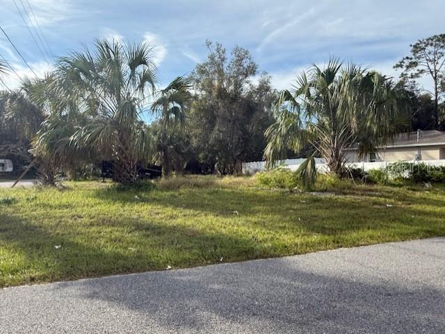 1502 Carver Street DeLand, FL 32720 - Photo 10 of 10 a view of a park