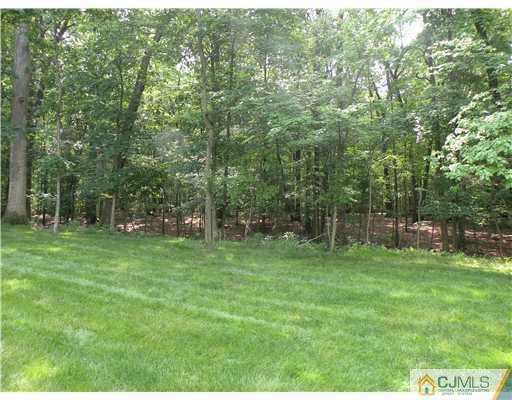 2204 Timber Oaks Road Edison, NJ 08820 - Photo 13 of 13 a view of a backyard with a garden