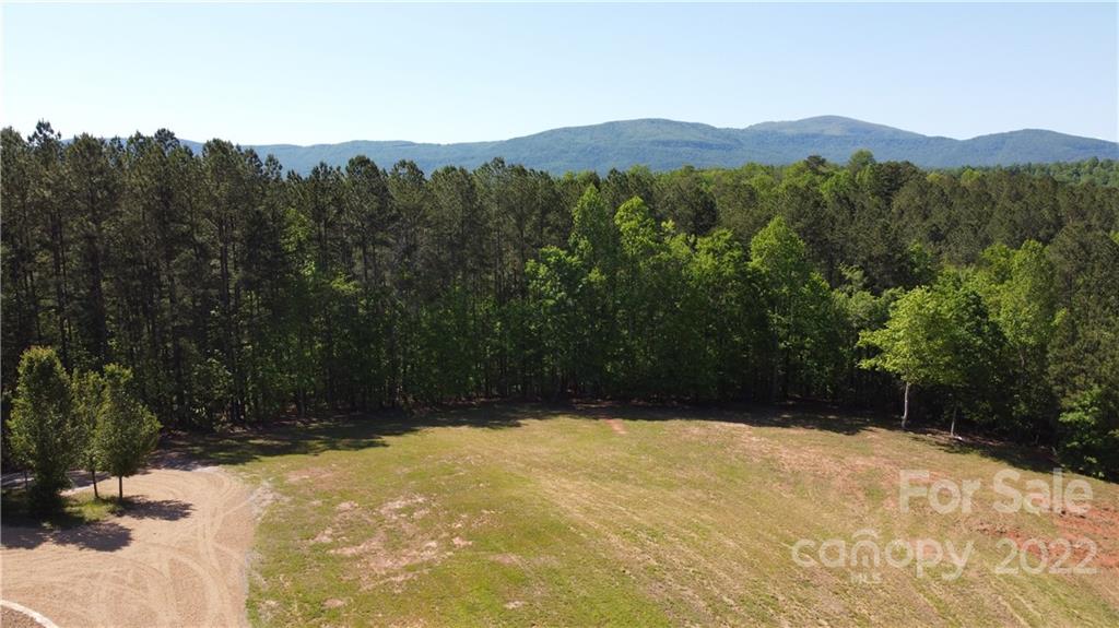 20 Hawk Ridge Drive Mill Spring, NC 28756 - Photo 10 of 48 a view of a backyard