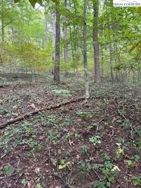 Lot 770 Tbd Ivy Court Creston, NC 28615 - Photo 5 of 7 a view of a green field with lots of bushes