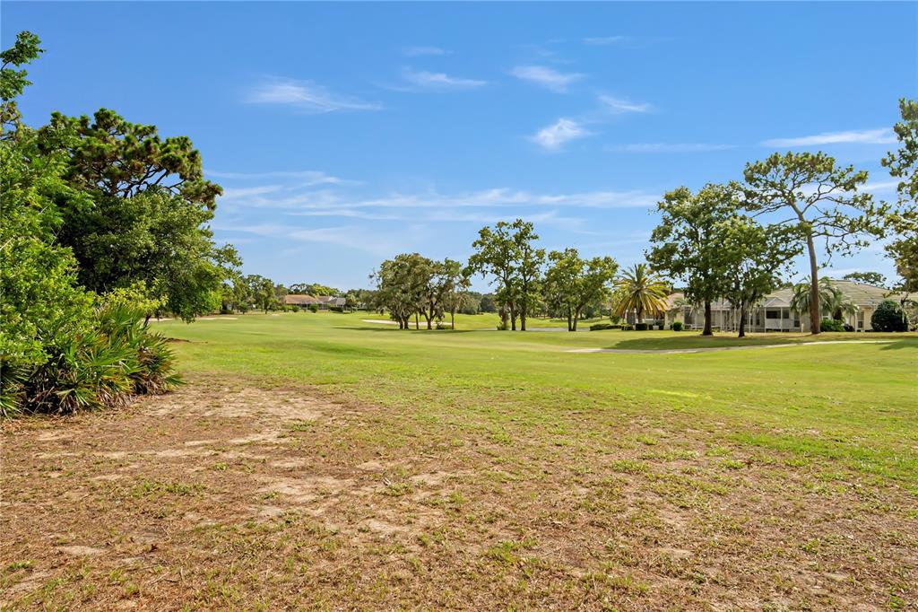 9157 Players Drive Weeki Wachee, FL 34613 - Photo 30 of 45