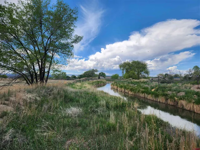 a view of a lake with a yard