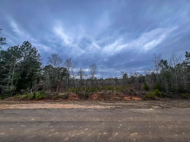 $159,900 | 1080 Serenity Pointe Drive, Lincolnton, GA 30817