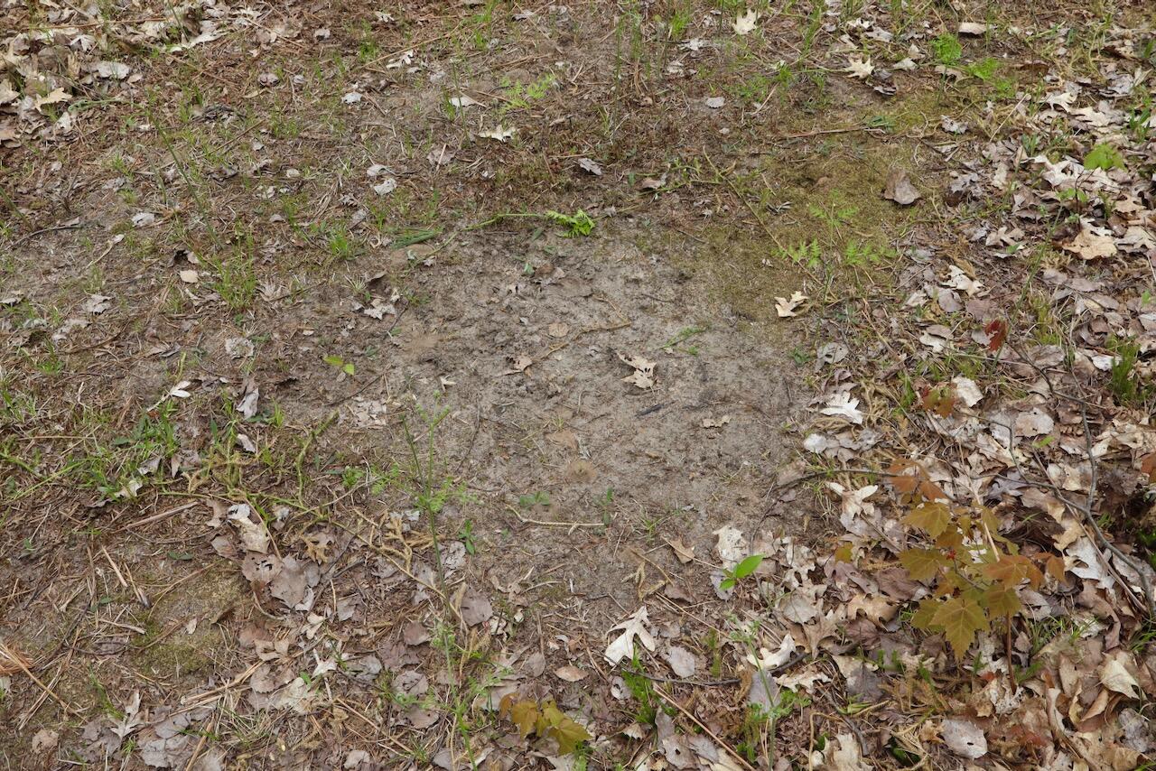 6153 South Branch Road Branch, MI 49402 - Photo 13 of 70 12