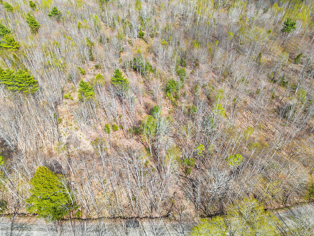 501 Noyes Road Waldoboro, ME 04572 - Photo 12 of 27 07_DJI_0883_DxO_mls