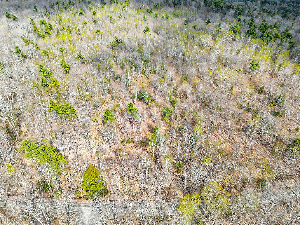 501 Noyes Road Waldoboro, ME 04572 - Photo 13 of 27 08_DJI_0884_DxO_mls