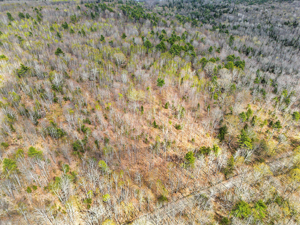 501 Noyes Road Waldoboro, ME 04572 - Photo 18 of 27 13_DJI_0889_DxO_mls