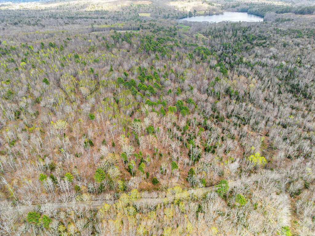 501 Noyes Road Waldoboro, ME 04572 - Photo 21 of 27 18_DJI_0894_DxO_mls