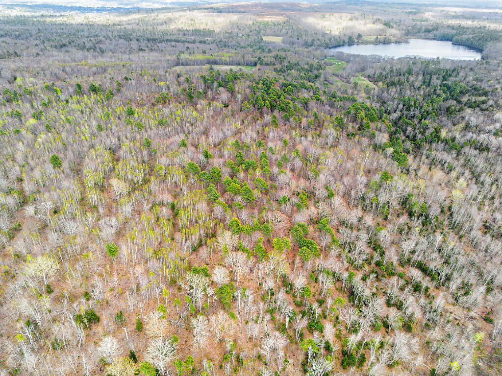 501 Noyes Road Waldoboro, ME 04572 - Photo 22 of 27 19_DJI_0895_DxO_mls
