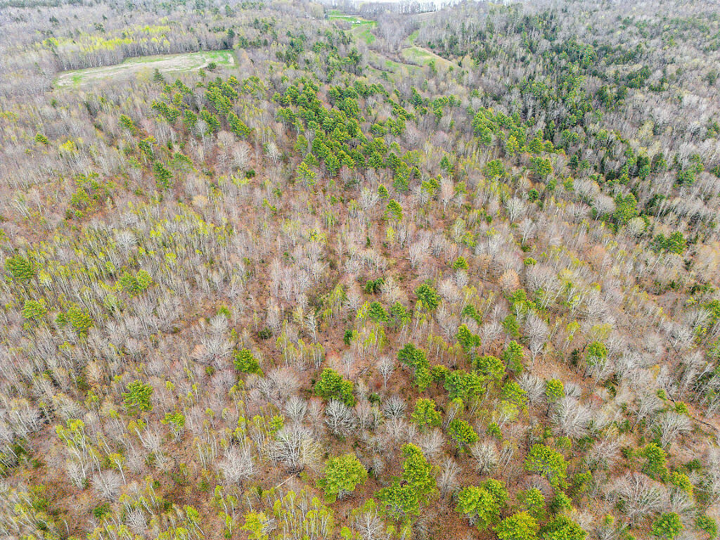 501 Noyes Road Waldoboro, ME 04572 - Photo 23 of 27 20_DJI_0896_DxO_mls