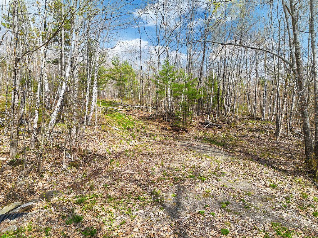 501 Noyes Road Waldoboro, ME 04572 - Photo 3 of 27 02_DJI_0878_DxO_mls