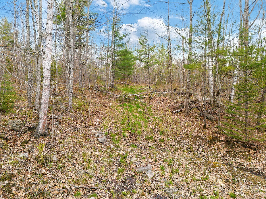 501 Noyes Road Waldoboro, ME 04572 - Photo 7 of 27 27_DJI_0903_DxO_mls