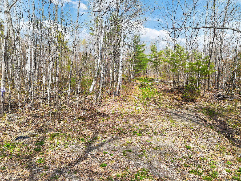 501 Noyes Road Waldoboro, ME 04572 - Photo 8 of 27 03_DJI_0879_DxO_mls