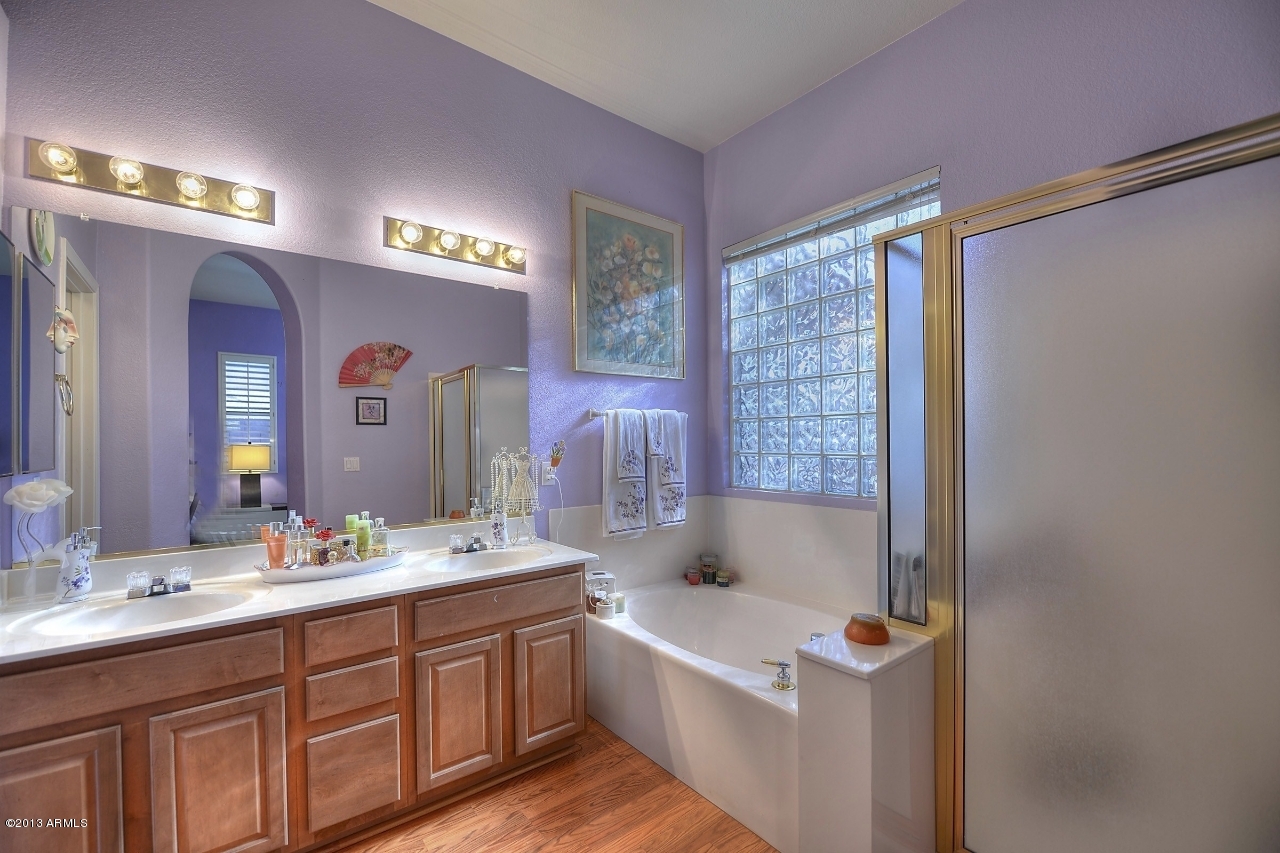 4243 East Tether Trail Phoenix, AZ 85050 - Photo 21 of 28 a bathroom with a sink a large mirror and a bathtub