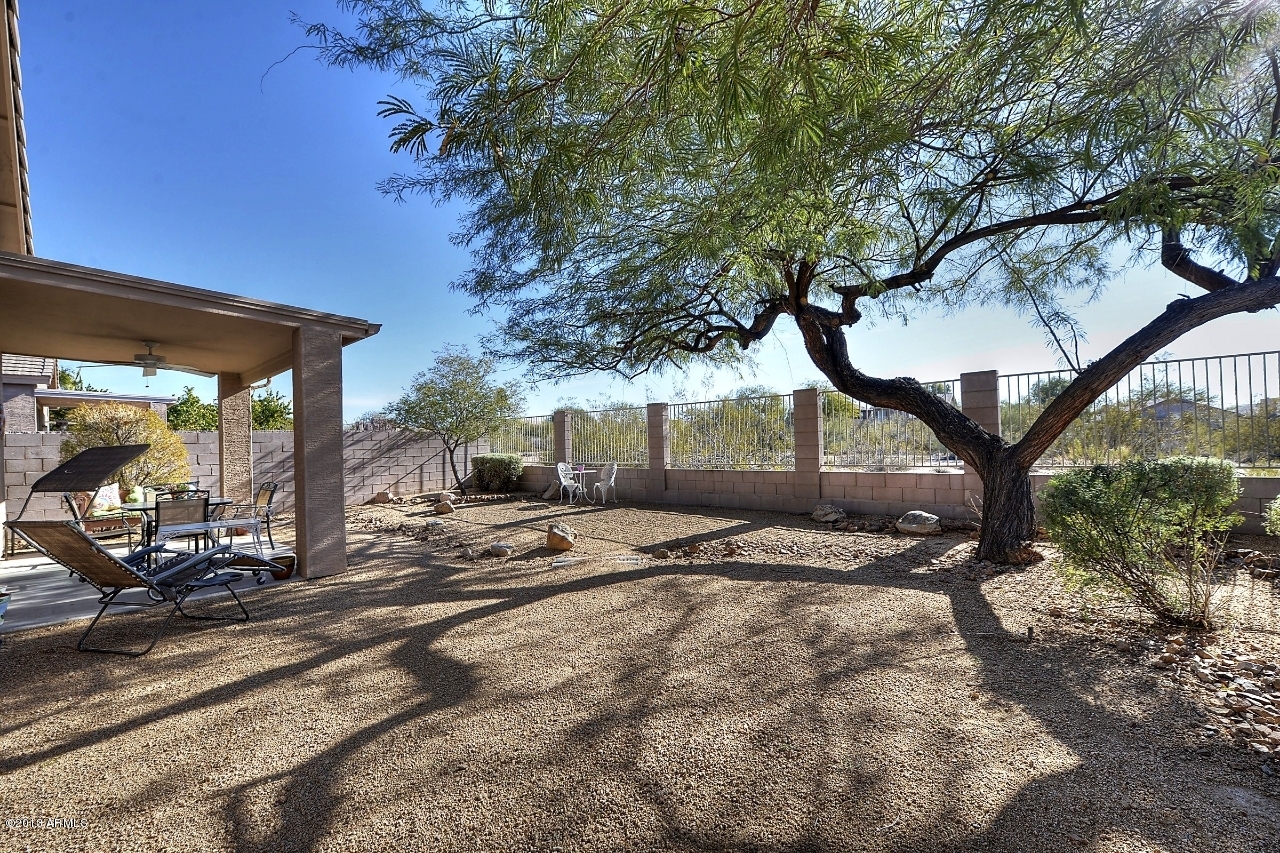 4243 East Tether Trail Phoenix, AZ 85050 - Photo 28 of 28 a view of a backyard with table and chairs under a large tree
